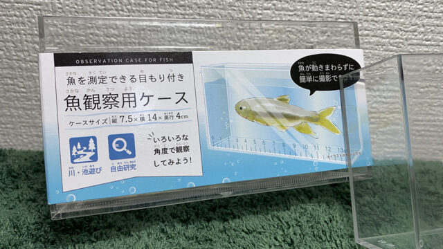 Seria 最近話題の100均で買える メダカの横見ケース 魚観賞用ケース 東京箱庭生活