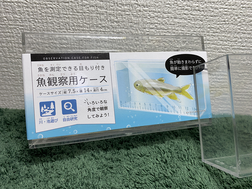 Seria 最近話題の100均で買える メダカの横見ケース 魚観賞用ケース 東京箱庭生活